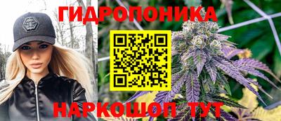 прущие крисы Беслан