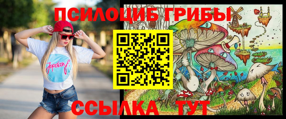 Кингисепп  Псилоцибиновые грибы Psilocybe  Вход с VPN 